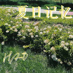 夏日记忆