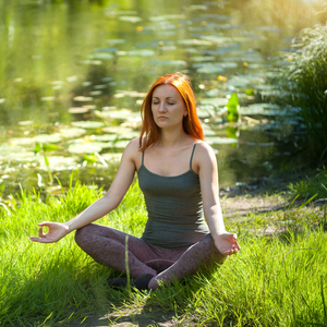 Meditative Rain on Lotus