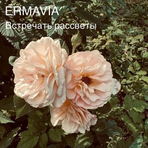 Встречать Рассветы
