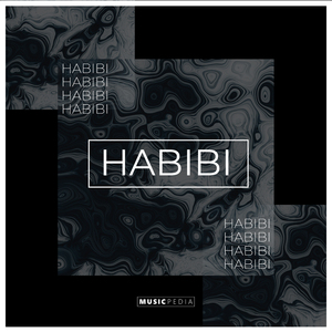 Habibi (Slowed Reverb)