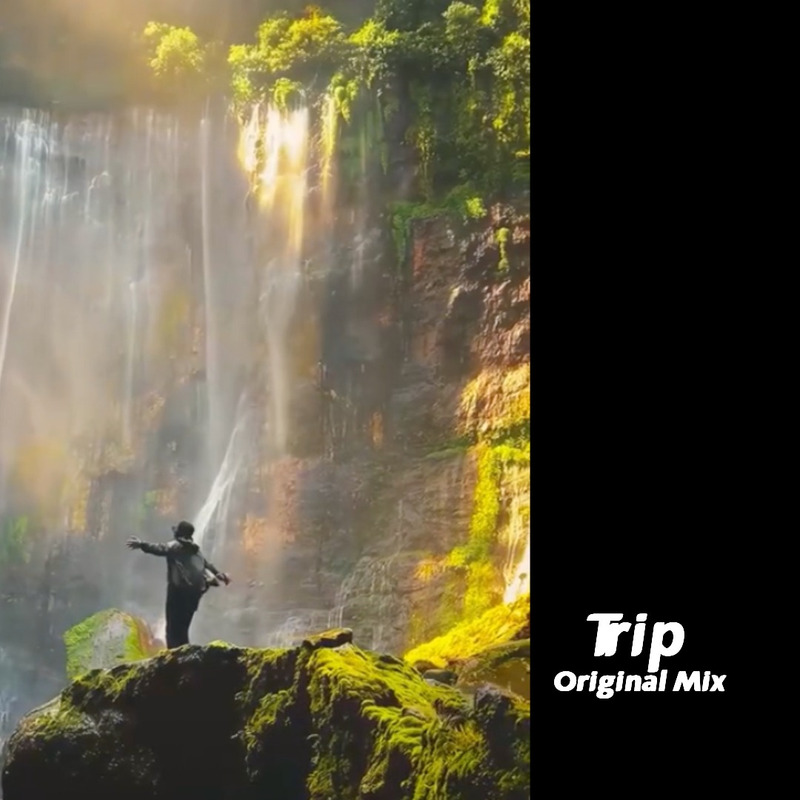 Trip(OriginalMix)封面