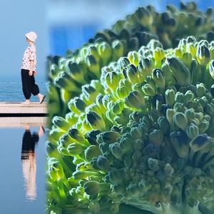我的牧场
