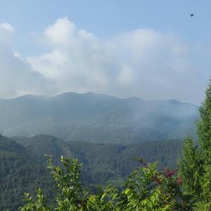 A Place without Someone Else