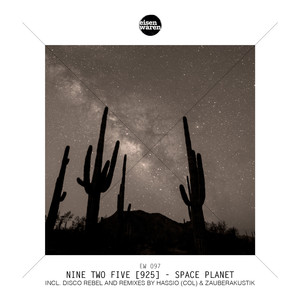 Disco Rebel (Zauberakustik Remix)