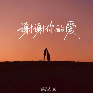 谢谢你的爱