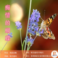 痴情的蝴蝶 (对唱)