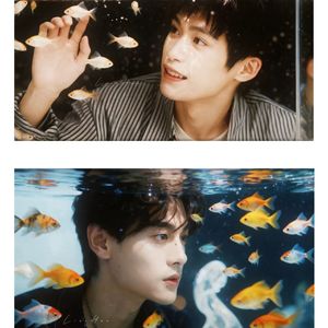 廿载霜，一寸阳——雷朋同人曲