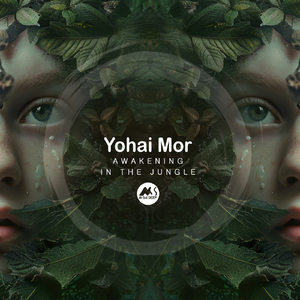 Awakening in the Jungle