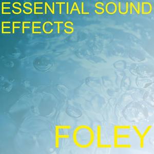 Chair Scrape Scraping Screech Screeching Move Moving Push Pushing Pull Pulling Drag Dragging Hardwood Wooden Floor Sound Effects Sound Effect Sounds EFX Sfx FX Foley Chair