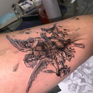 Fanta$$ia (2024 Versión remasterizada)