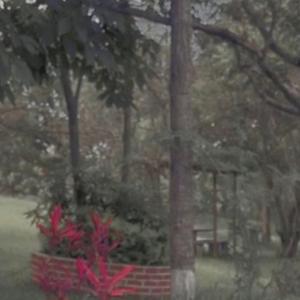 Occhietti (feat. Ophelias)