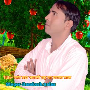 पतंग उडा भायली चढ़ जा डागला माळ