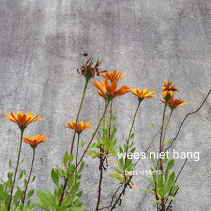 Wees niet bang