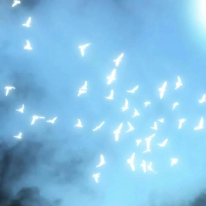 坠落天空