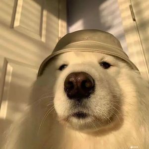 羁旅心事（清唱）