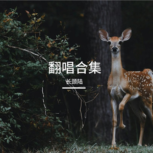 此夜不负