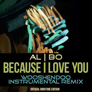 Because I Love You (Wooshendoo Instrumental Remix)