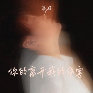 你的离开我的伤害