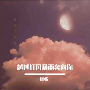 越过狂风暴雨奔向你（温柔男声）