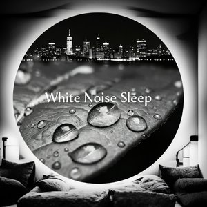 Melodic（轻音乐）