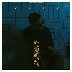 直觉动物