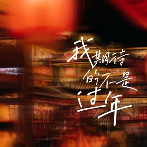 我期待的不是过年