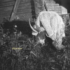 dilladew