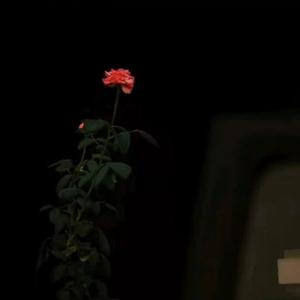 所有的一切都不想看到了