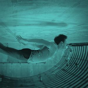 Morning Mist (The Birds)