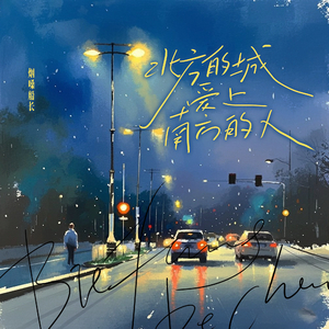 在北方的城爱上南方的人