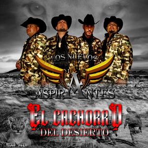 El Cachorro Del Desierto