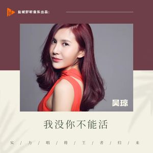 我没你不能活 (伴奏)