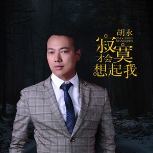 寂寞才会想起我 (DJ版|DJ何鹏版)