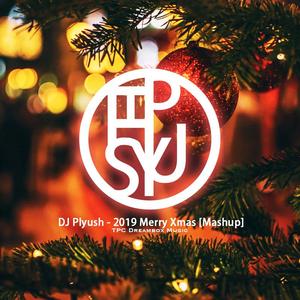 Boombox Cartel / Ninik-DJ Plyush - 2019 Merry Xmas [Mashup]（DJ Plyush remix）