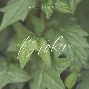 Broken (Nature)