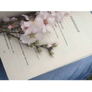 我爱你 Luv Is Luv