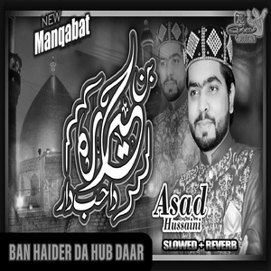 Ban Haider Da Hub Daar Lofi Version