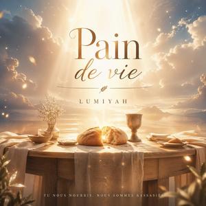 Pain de vie