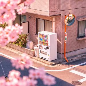春のはじまりで, 君を待つ