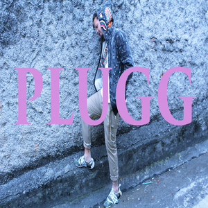Plugg