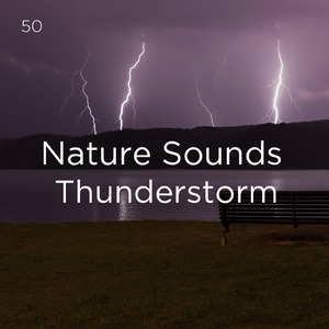 뇌우 소리