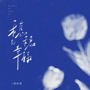 稳稳的幸福 (DJ豪大大版)