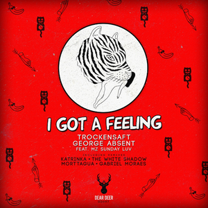 I Got A Feeling (Original Mix)