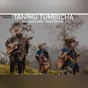 Tsitsiki sapichu (feat. Tanimu Tumbiecha de Pamatacuaro)