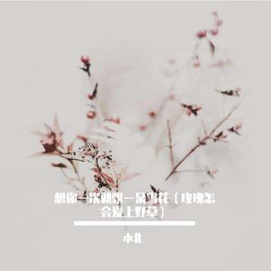想你一次就飘一朵雪花（玫瑰怎会爱上野草）