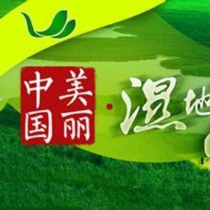 湿地No.2-行进中的旅途(进行曲式)