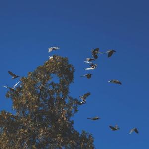 【FREE】"Block"---Boombap type story telling beat