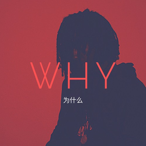 WHY 为什么