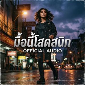 มื้อนี้โสดสนิท