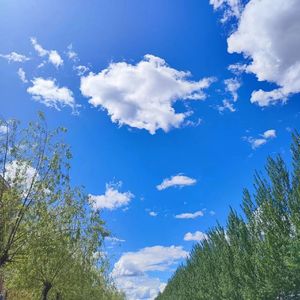 No Birthday-是谁（Prod.No Birthday）（NewsYLyang remix）